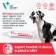 Bioprotect Vet Expert – Pastă Digestivă pentru Câini și Pisici – 15 ml